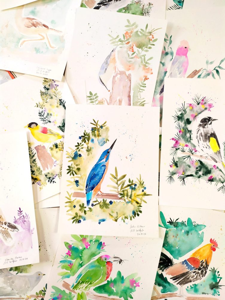 illustration oiseau aquarelle